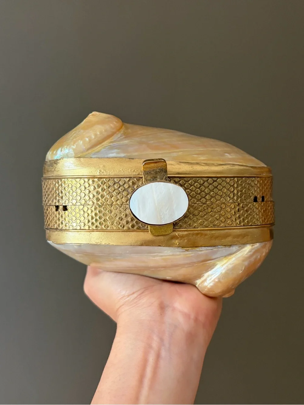 Iridescent Shell Clutch Wristlet in Cream